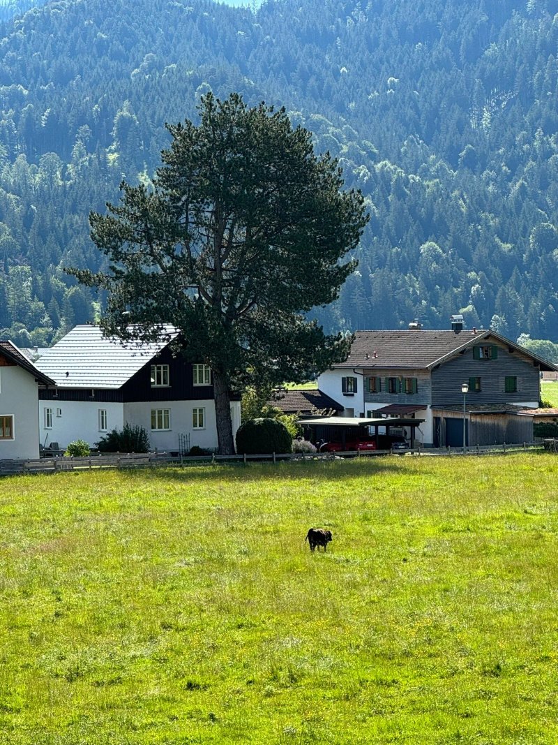 Alpenhotel Krone