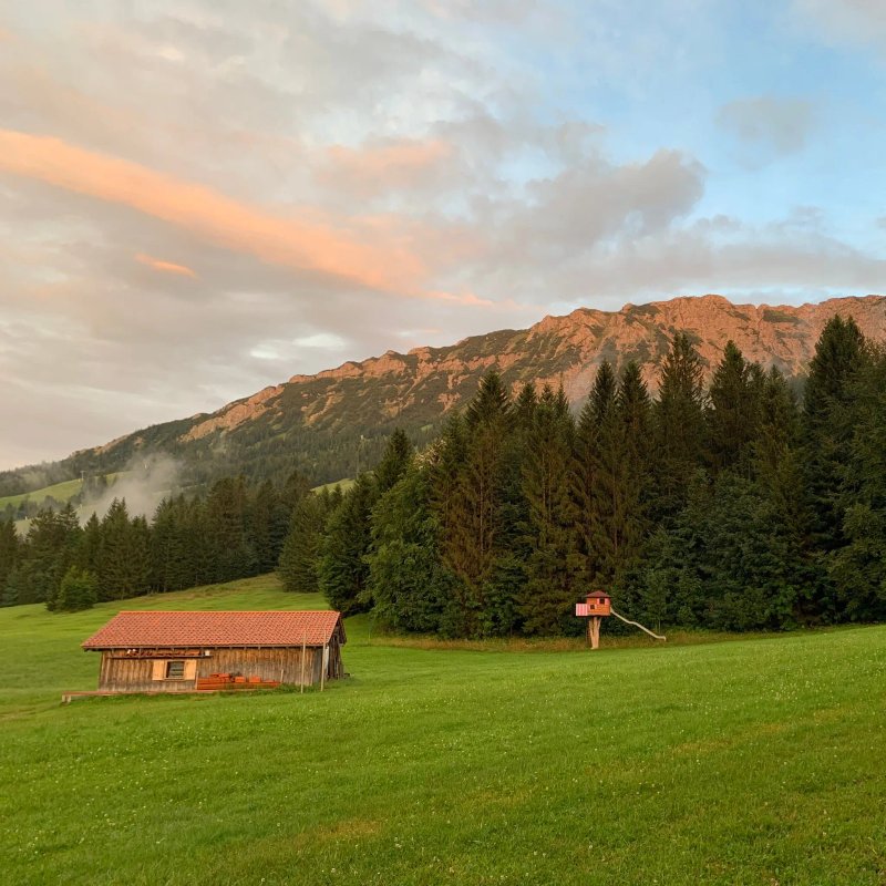 Meckatzer Sportalp