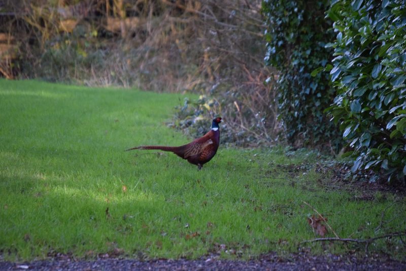 Waterrow Touring Park