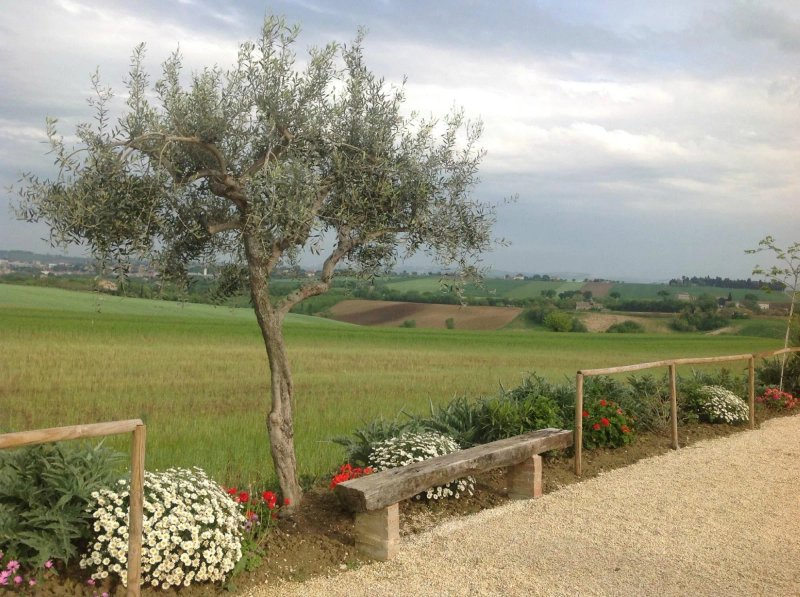 Agriturismo Il Confine