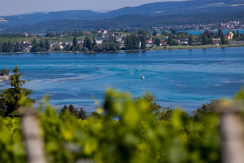 Boardinghouse HOME