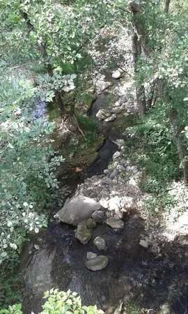 Arrogna Naturarte