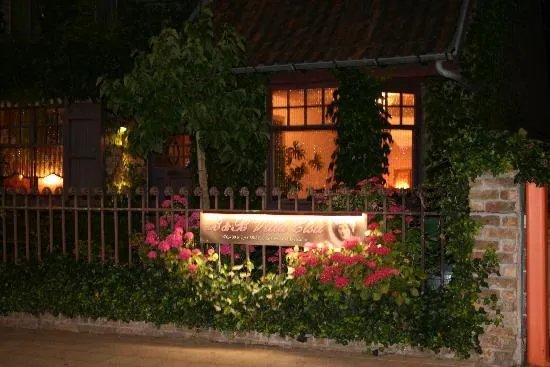 Villa Elsa