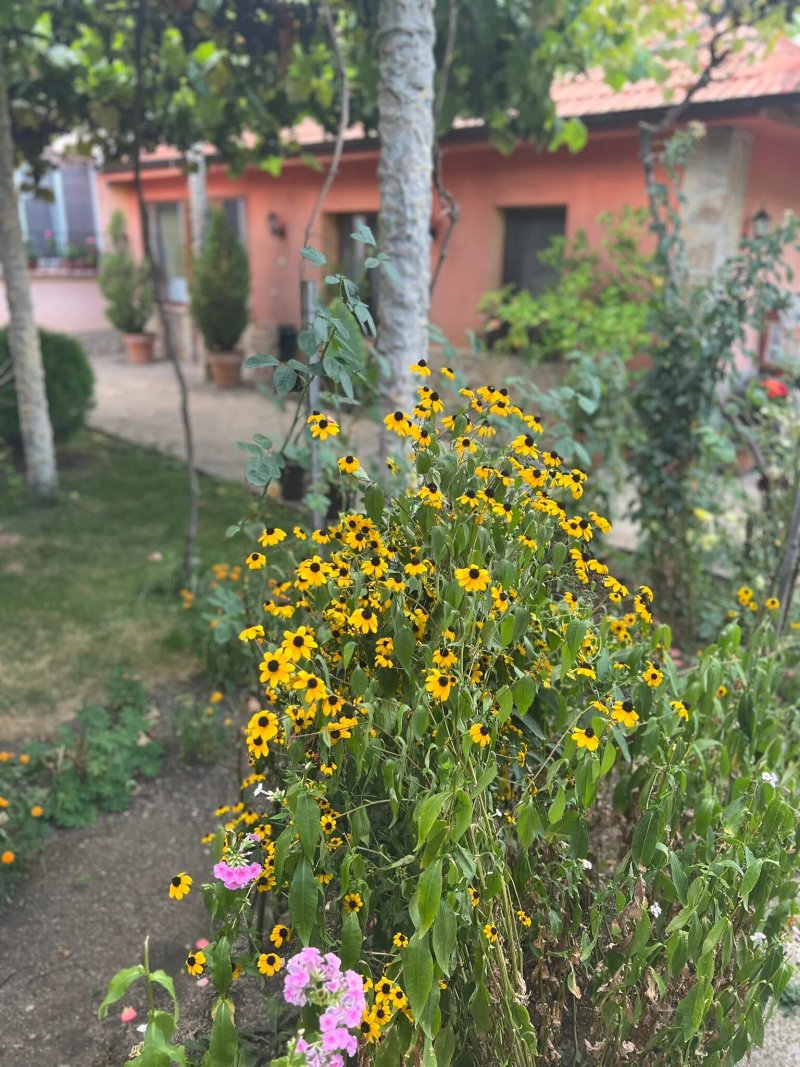 Villa Gamma