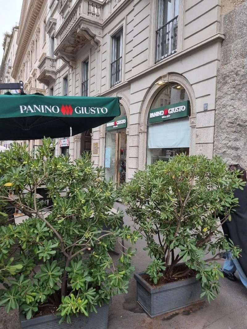 Panino Giusto Porta Venezia