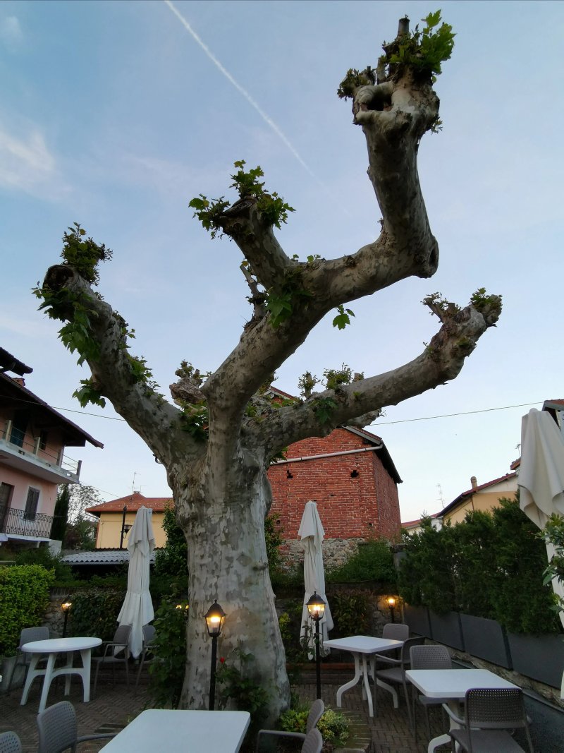 Sapor Di Vino
