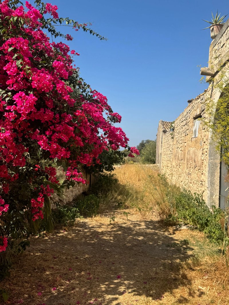 Tenuta Cammarana