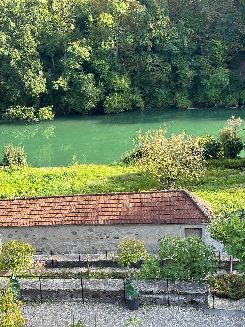 Ristorante Pizzeria Alpini