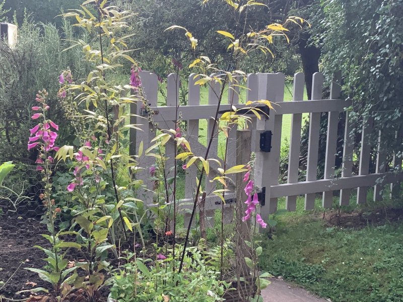 Whispering Cottages Bed and Breakfast