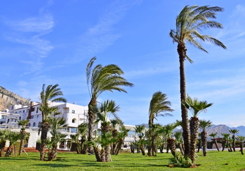 Saracen Sands Hotel & Congress Centre