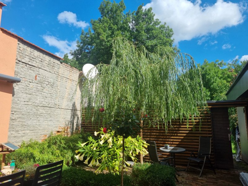 Ferienwohnung Junger-moritz
