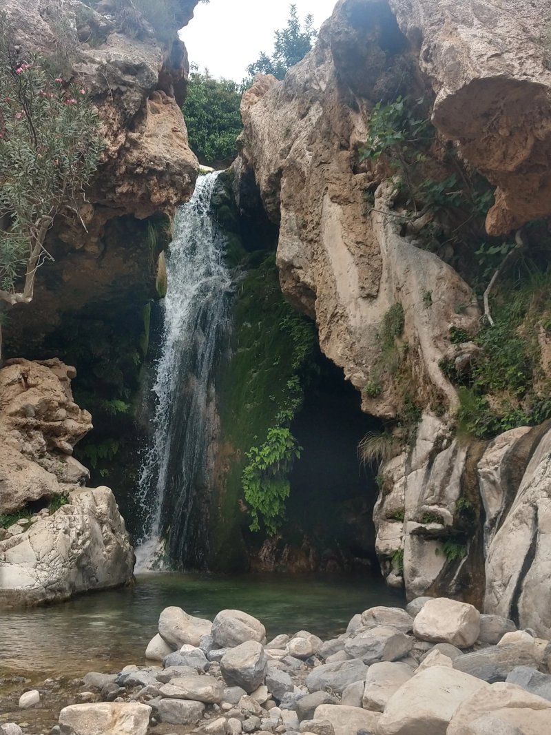 Finca Del Gecko