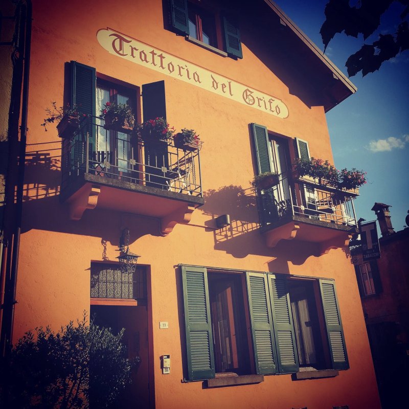 Il Grifo