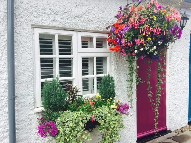 The Swan Inn