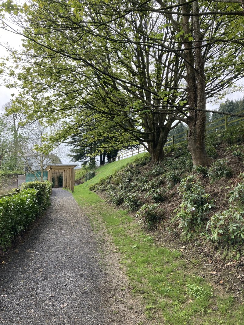 Millbrook Lodge Of Ballynahinch