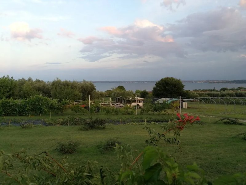 Ristorante dell'Agriturismo 30