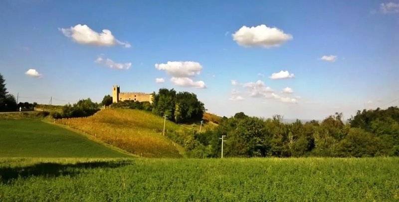 Trattoria Belvedere