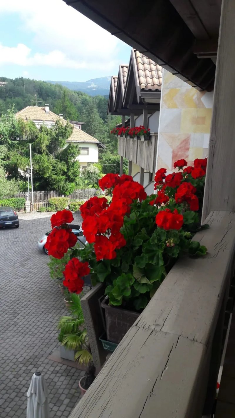 Hotel Dolomitenblick