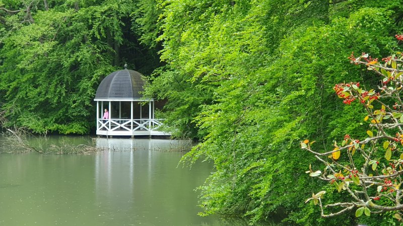 Restaurant Knapp