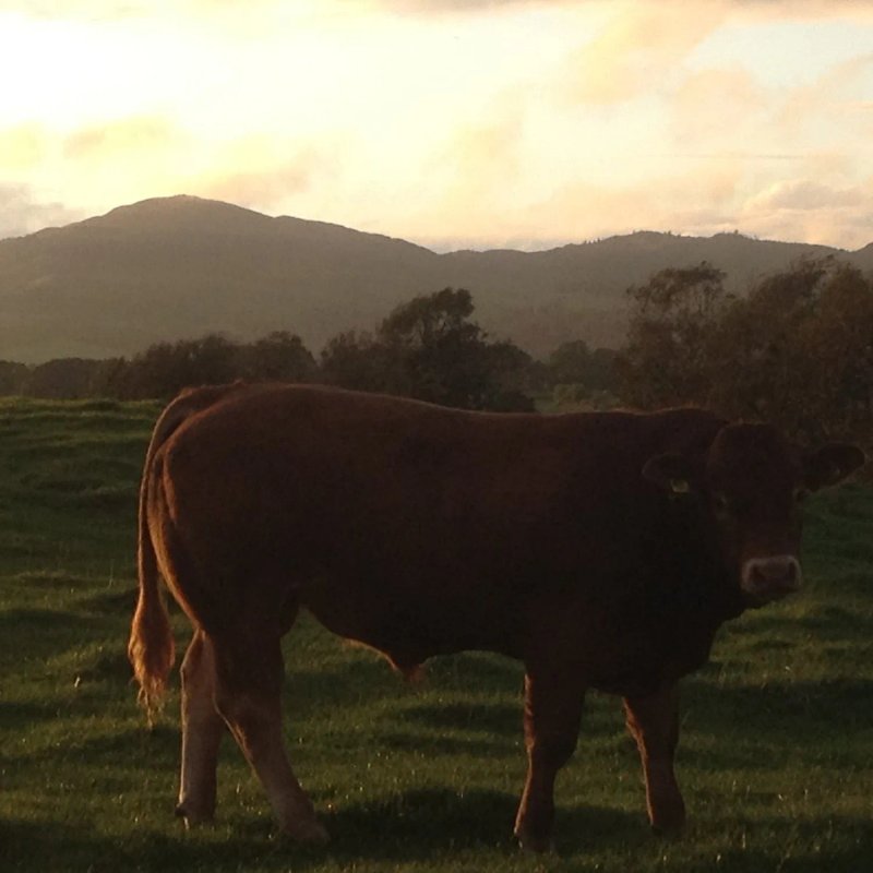 Farhills Farm Bed & Breakfast