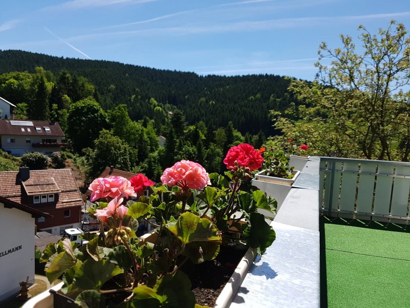 Hotel-Pension Jägerstieg