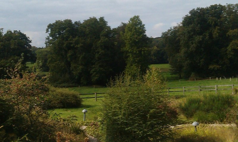 Wilmersberg