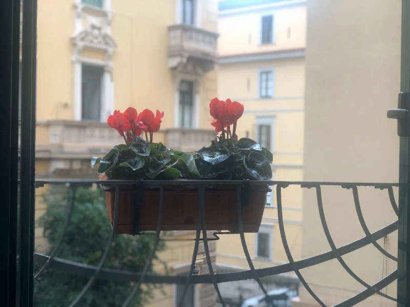 Holiday Guesthouse