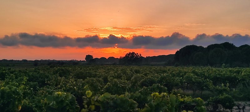 Gites et Roulottes du Grand Puits