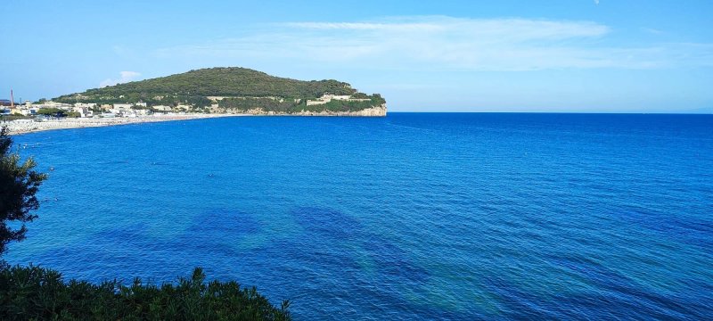 Chiaror Di Mare