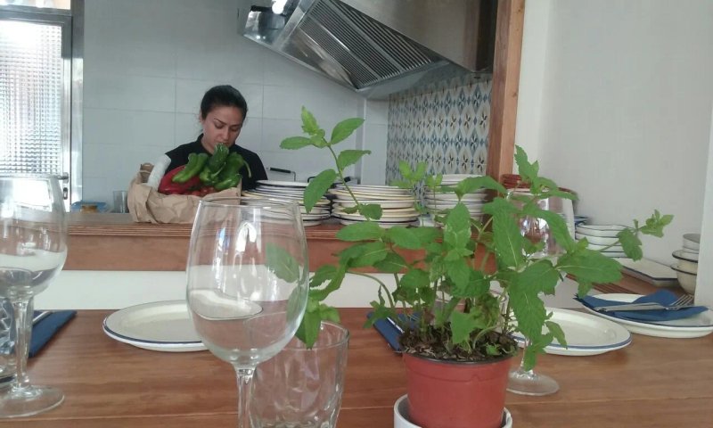 Umami Fresh Bistro