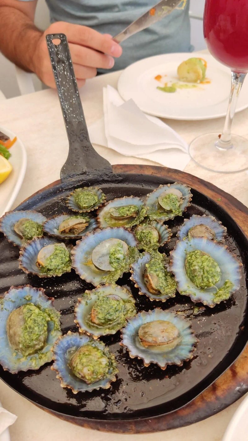 Meson de la Tierra