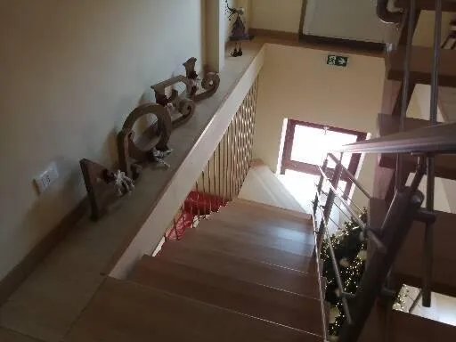 Abete Bianco - Albergo del Natale