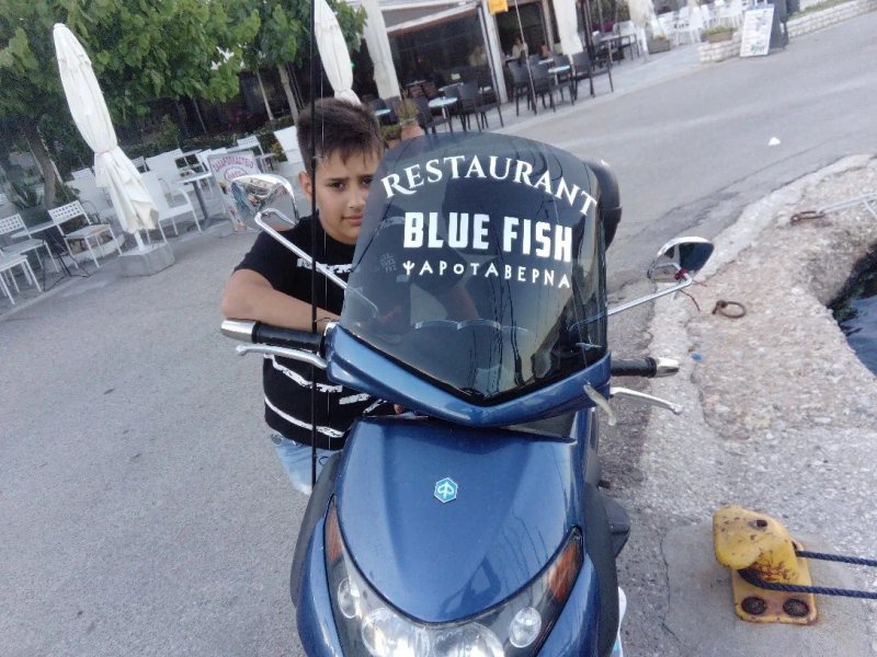 Blue Fish