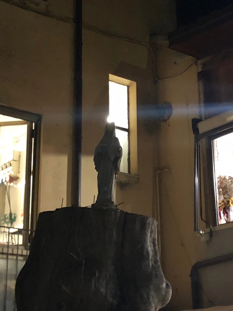 L'Orso Bruno