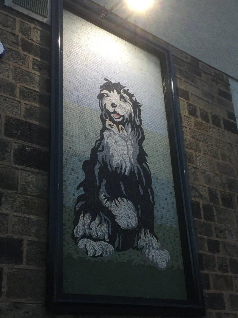 The Black Dog
