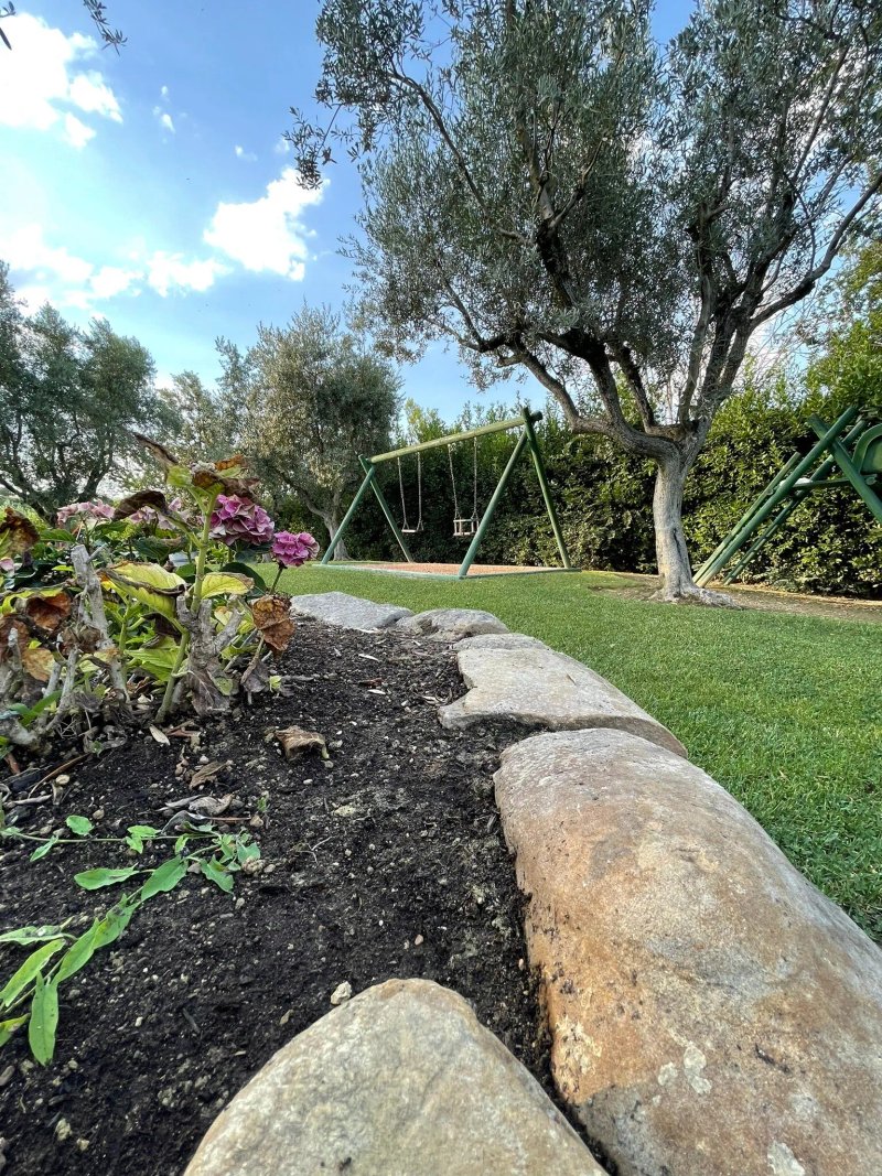Fiore Di Campo