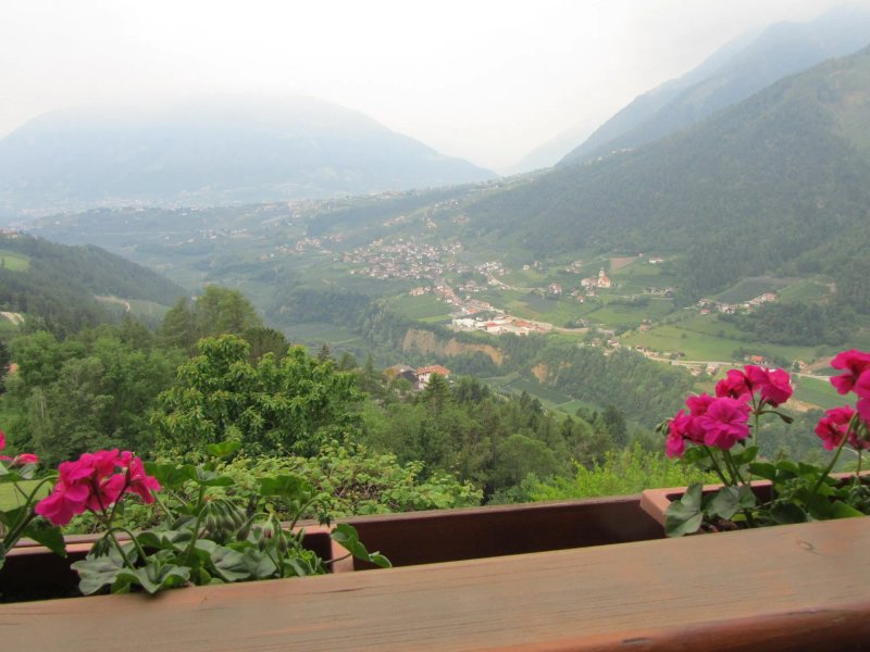 Gasserhof Garni