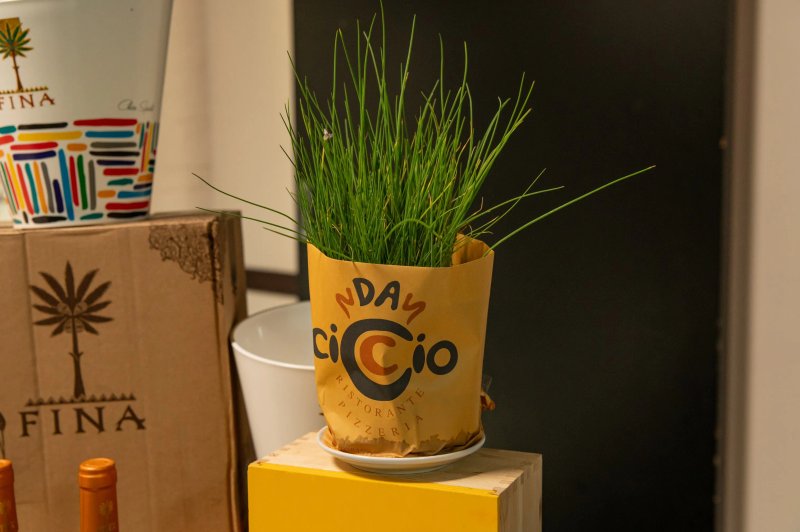 Da Ciccio