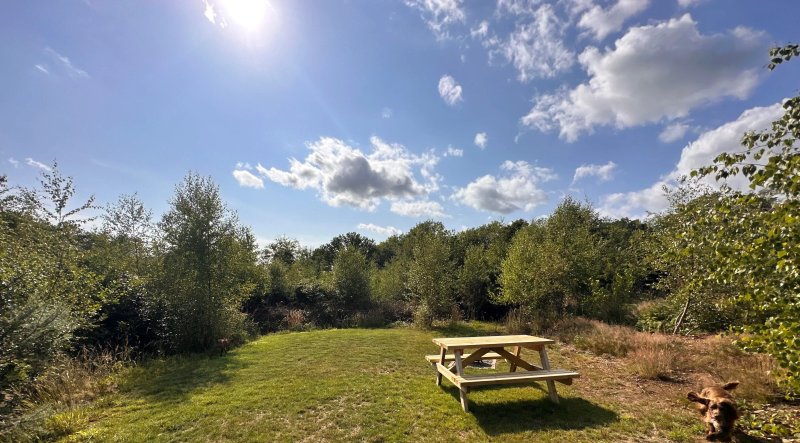 Landsker Camping