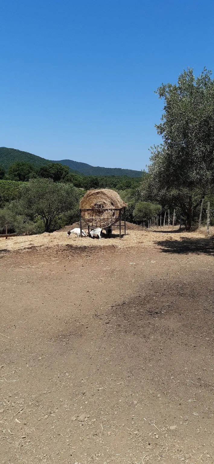 Agriturismo Belvedere Pieriniebrugi