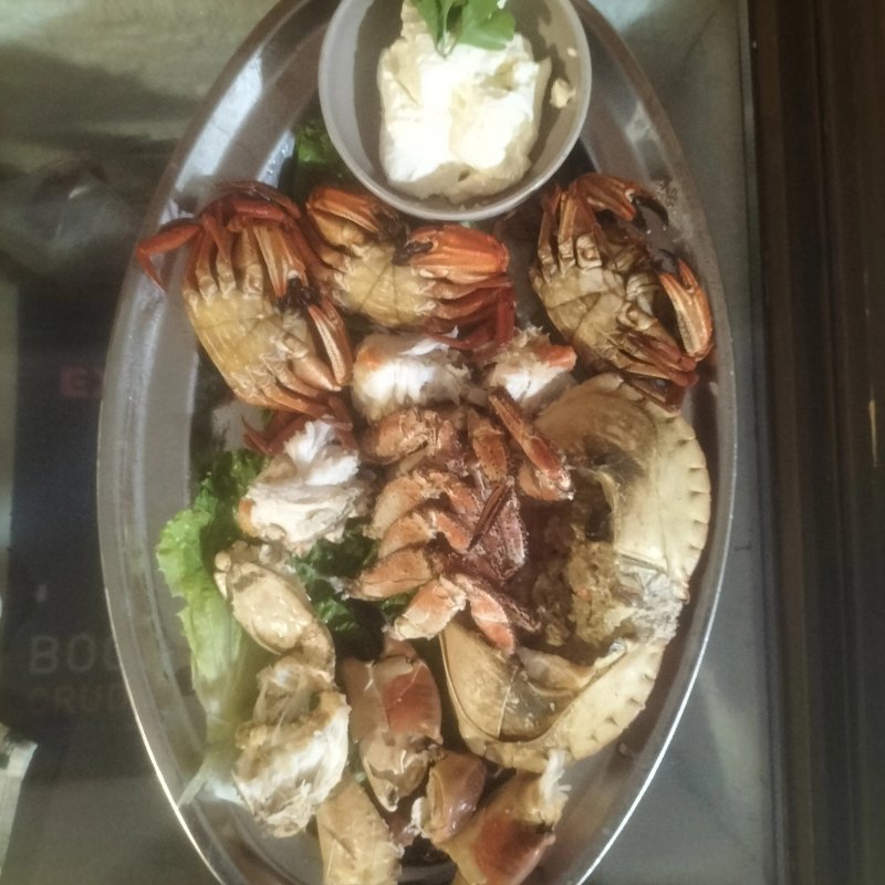A taberna do pupi