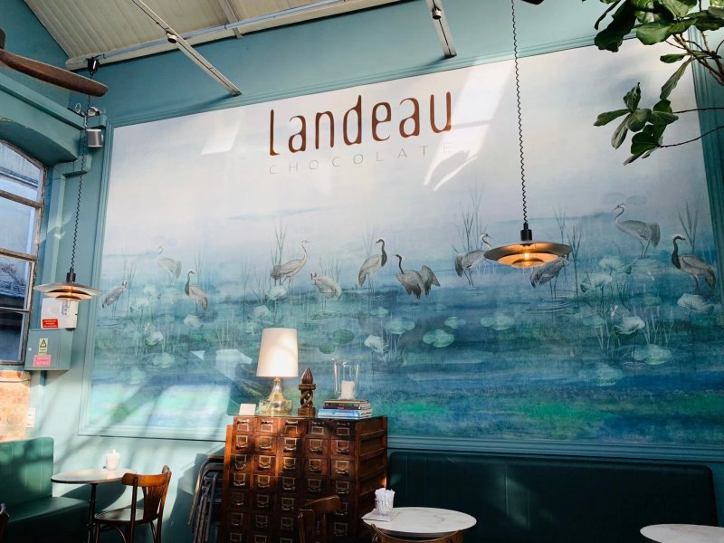 Landeau chocolate