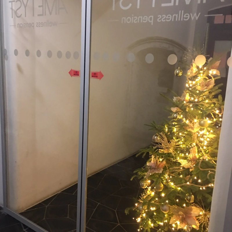 Wellness Pension Ametyst
