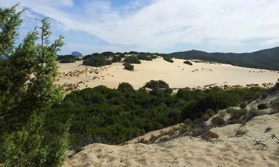 B&B Il Quinto Moro Arbus
