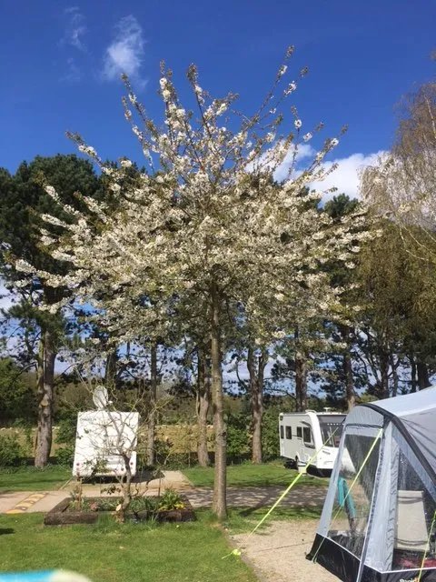 Overbrook Caravan Park