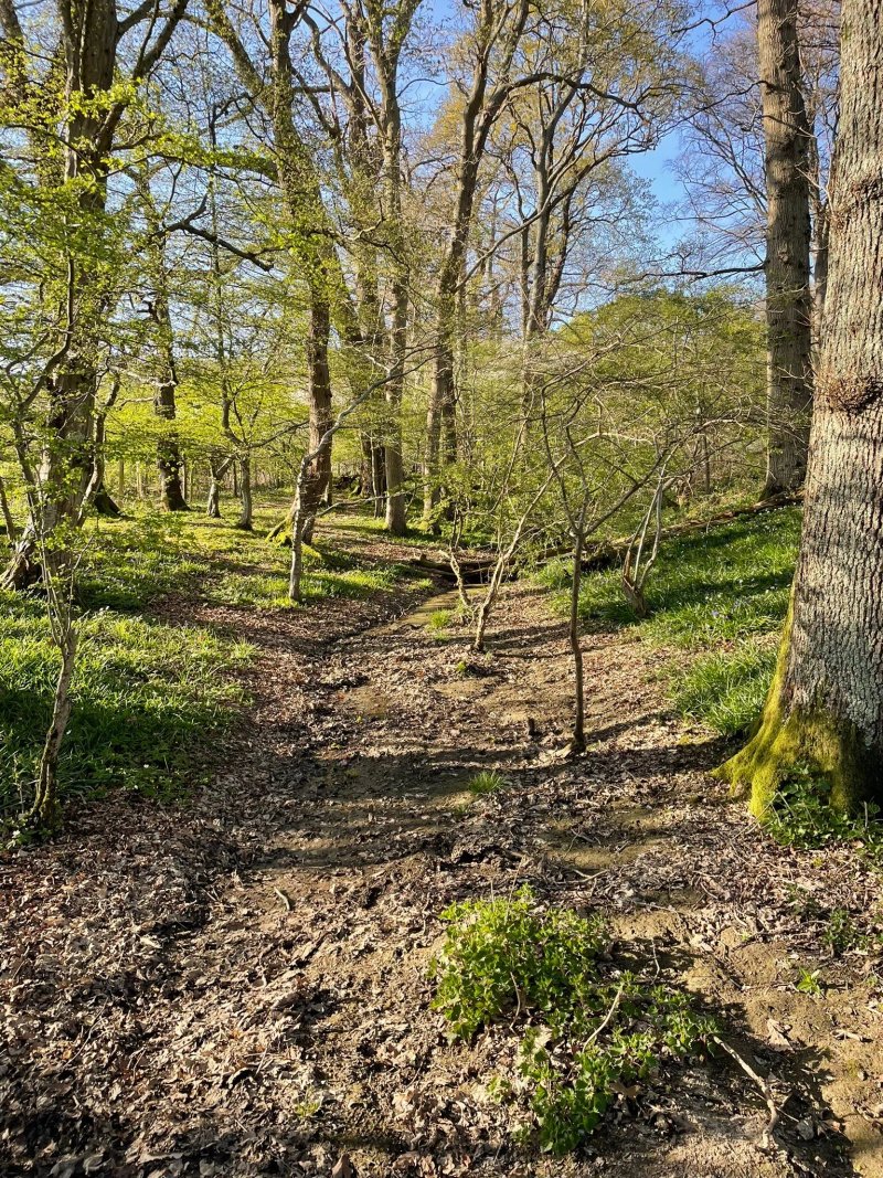 The Secret Campsite