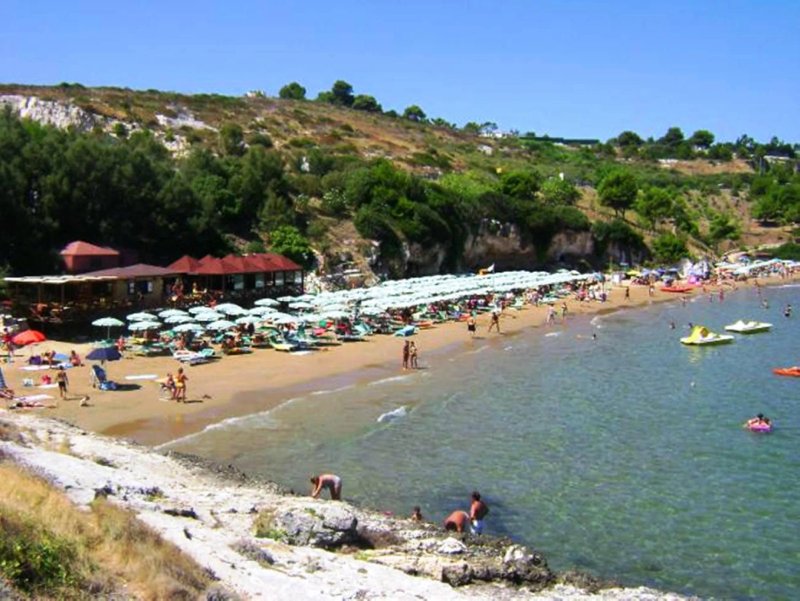 Green Garden Eco-Holiday