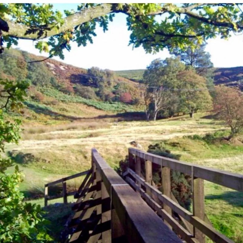 Mallyan Spout Coffee Shop