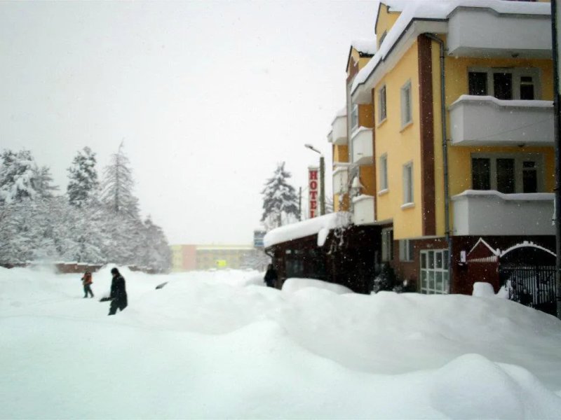 Zodiac Guest House