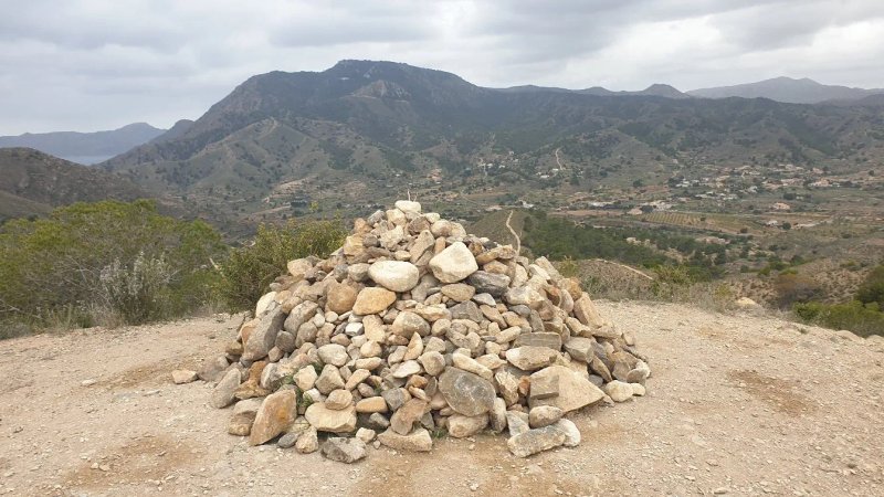 Morra Del Pino
